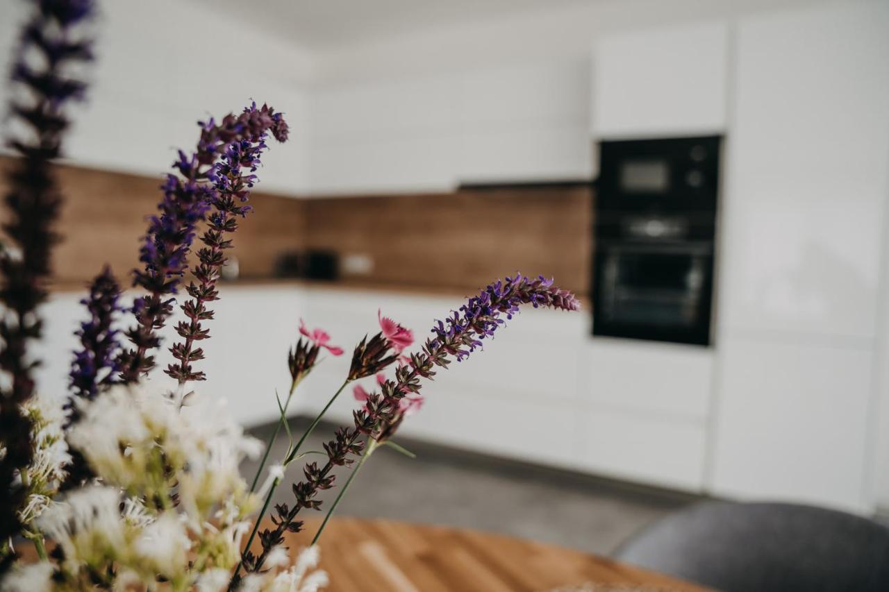 Apartman Usti Hranice  Dış mekan fotoğraf
